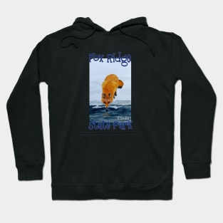 Fox Ridge State Park, Illinois Hoodie